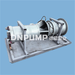 東北潛水貫流泵_德能泵業(yè)_潛水貫流泵臥式安裝