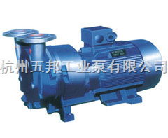 工業(yè)泵類(lèi)與輔助設(shè)備綜述 種類(lèi)、特點(diǎn)及應(yīng)用