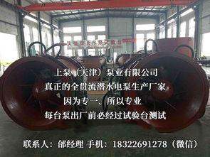 探索流體世界的隱秘力量 潛水貫流泵、全貫流閘門(mén)泵、燈泡泵與臥式全貫流泵技術(shù)解析