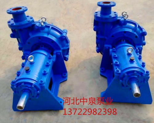 150ZJ-A55離心臥式渣漿泵 沉淀池應(yīng)用的堅(jiān)實(shí)之選